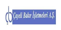 Cayeli Bakir logosu